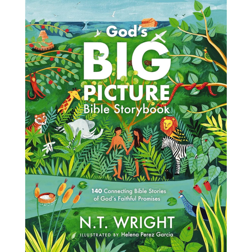 God's Big Picture Bible Storybook: 140 Connecting Bible Stories of God ...